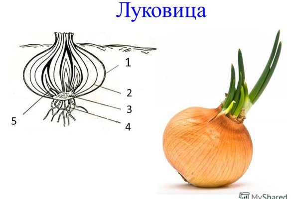 Onion сайт кракен