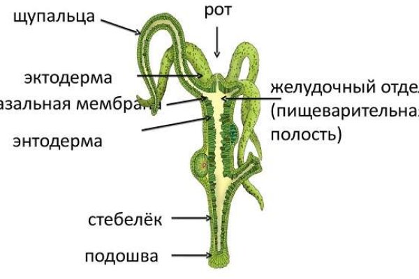 Новый сайт kraken